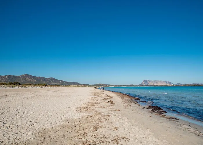 Elegante Centro 公寓 *