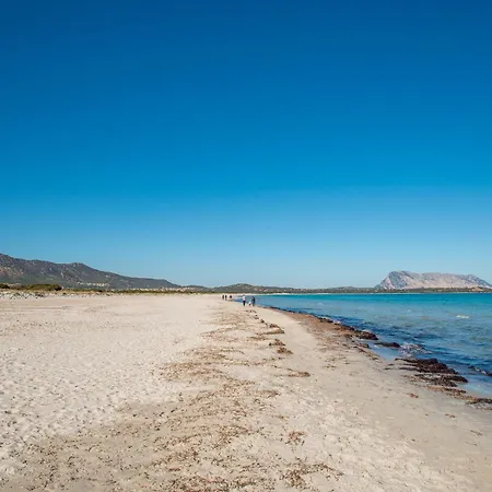 Elegante Centro Daire *